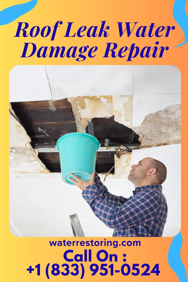 Roof Leak Water Damage Repair in Walker, CA